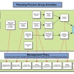 Organizational management